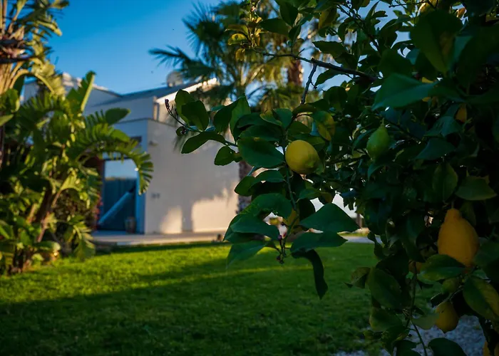 Hotel apartamentowy Ariaboutique 4*